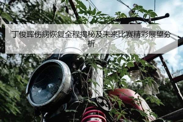 丁俊晖伤病恢复全程揭秘及未来比赛精彩展望分析（HTH SPORTS）